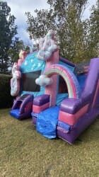 IMG 9730 1737472915 5 in 1 Unicorn Combo Dry