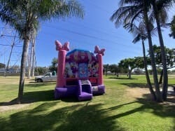 IMG 9038 1744836530 Minnie Mouse Bounce House