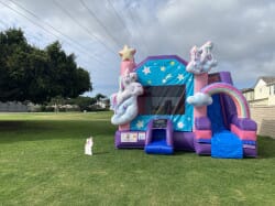 IMG 9786 1744924095 5 in 1 Unicorn Combo Dry