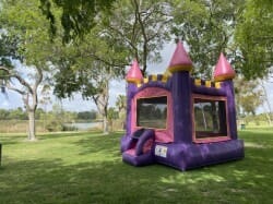 IMG 9952 1744837098 Arched Pink Castle Bounce House