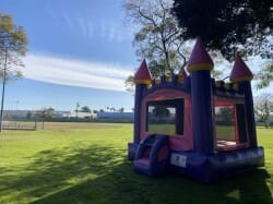 IMG 9986 1744837098 Arched Pink Castle Bounce House